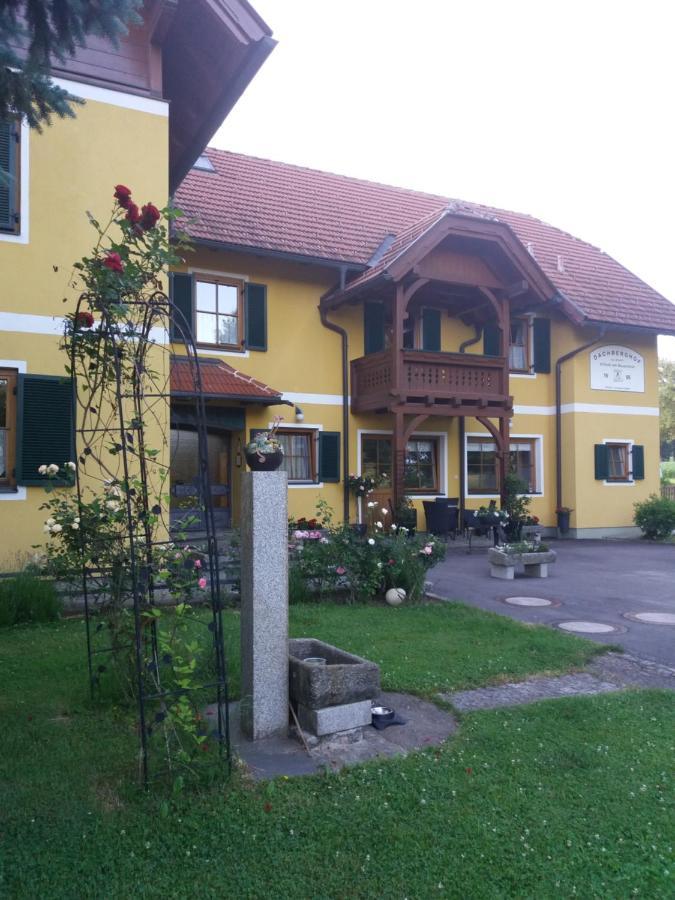 Dachberghof Apartment